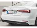 Audi A5 Coupé 40 TDI S line S tronic 140kW Blanco - thumbnail 38