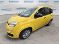 Fiat Panda Panda 1.0 FireFly S&S Hybrid - thumbnail 2