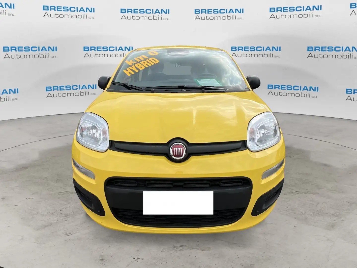 Fiat Panda Panda 1.0 FireFly S&S Hybrid - 1