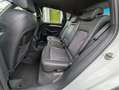 Audi Q5 2.0 TDI*2.Hand*Temp*MMI*AHK*Shz*Xenon*TüvNEU* Alb - thumbnail 11