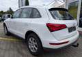 Audi Q5 2.0 TDI*2.Hand*Temp*MMI*AHK*Shz*Xenon*TüvNEU* Alb - thumbnail 7