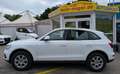 Audi Q5 2.0 TDI*2.Hand*Temp*MMI*AHK*Shz*Xenon*TüvNEU* Alb - thumbnail 8