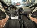 Opel Corsa 1.3 CDTI 75CV F.AP. 3 porte Elective Wit - thumbnail 8