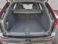 Volvo XC60 XC60 B5 B AWD Plus Black Edition Stdhzg*Pano Schwarz - thumbnail 5