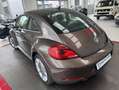 Volkswagen Coccinelle 1.2TSI 105CH DSG7 CARAT 1ere main GAR 12 M Bruin - thumbnail 7