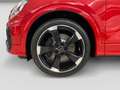 Audi SQ2 2.0 TFSI S tronic Navi AHK Pano Matrix CAM Rosso - thumbnail 5