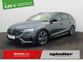 Skoda Octavia RS Combi 2.0 TDI 4x4 DSG/Matrix LED, ACC Gris - thumbnail 1