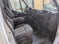 Iveco Daily master D.C. 6 P.  23 dCi/165  PL-RG RIBALTABILE Blanc - thumbnail 12