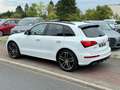 Audi SQ5 3.0 TDI Plus Pano RS-Sitz Carbon B&O Standheiz TOP Blanc - thumbnail 21