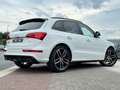 Audi SQ5 3.0 TDI Plus Pano RS-Sitz Carbon B&O Standheiz TOP Fehér - thumbnail 2