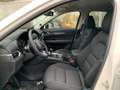 Mazda CX-5 G165 e-Skyactiv MHEV Exclusive-Line Weiß - thumbnail 8