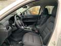 Mazda CX-5 G165 e-Skyactiv MHEV Exclusive-Line Weiß - thumbnail 8