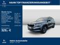 Skoda Karoq 1.5TSI DSG Tour LED Navi ACC APP CAM Sitzh Grau - thumbnail 2