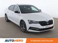 Skoda Superb 2.0 TDI SRC SportLine DSG7 Blanc - thumbnail 8