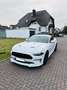 Ford Mustang GT Fastback Weiß - thumbnail 1