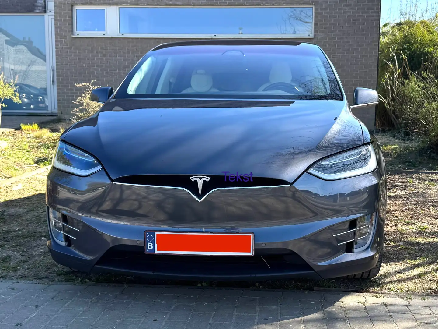 Tesla Model X Model X 100D Allradantrieb Gris - 1
