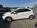 Kia Rio 1.2 Klima + Multifunktionslenkrad Blanco - thumbnail 5
