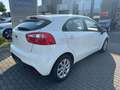 Kia Rio 1.2 Klima + Multifunktionslenkrad Blanco - thumbnail 10