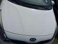 Kia Rio 1.2 Klima + Multifunktionslenkrad Blanco - thumbnail 26