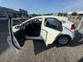 Kia Rio 1.2 Klima + Multifunktionslenkrad Blanco - thumbnail 6