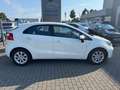 Kia Rio 1.2 Klima + Multifunktionslenkrad Blanco - thumbnail 8