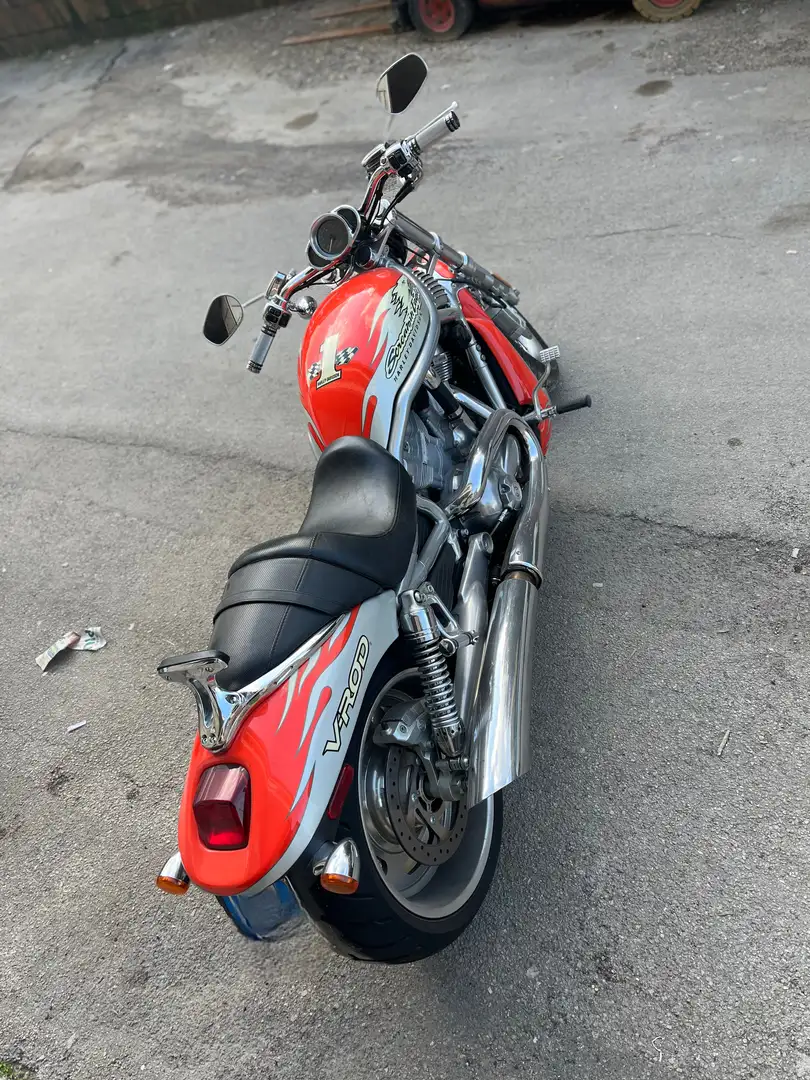Harley-Davidson VRSC Street Rod vrscx  motore Porsche - 1