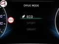 Kia Sorento 1.6 T-GDi HEV Emotion 4x2 Blanco - thumbnail 17