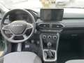 Dacia Jogger 1.0 TCe 110 7-Sitzer Extreme *LED*TWA*LM Vert - thumbnail 10