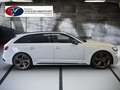 Audi RS4 A4 2.9 TFSI quattro Alb - thumbnail 3