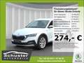Skoda Octavia Combi SCOUT 4x4 TDI*pACC Head-Up R-Kam Weiß - thumbnail 1