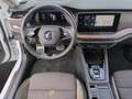 Skoda Octavia Combi SCOUT 4x4 TDI*pACC Head-Up R-Kam Weiß - thumbnail 6