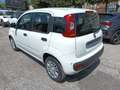 Fiat Panda 1000 HYBRID 70 CV PDC ITALIA Bianco - thumbnail 4