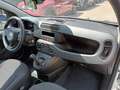 Fiat Panda 1000 HYBRID 70 CV PDC ITALIA Bianco - thumbnail 9