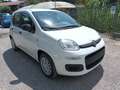 Fiat Panda 1000 HYBRID 70 CV PDC ITALIA Bianco - thumbnail 1