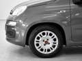 Fiat Panda Panda 1.0 firefly hybrid s Gris - thumbnail 5