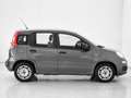 Fiat Panda Panda 1.0 firefly hybrid s Gris - thumbnail 4