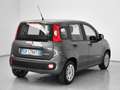 Fiat Panda Panda 1.0 firefly hybrid s Gris - thumbnail 2