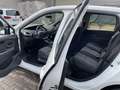 Renault Scenic Dynamique dCi Weiß - thumbnail 13