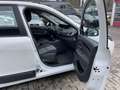 Renault Scenic Dynamique dCi Weiß - thumbnail 9