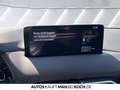 Mazda CX-5 SKYACTIV-D 184 FWD 5T 6GS HOMURA ohne BSM/RCT Grau - thumbnail 21