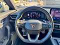 CUPRA Formentor VZ 2.0 TSI 4Drive DSG Gris - thumbnail 22