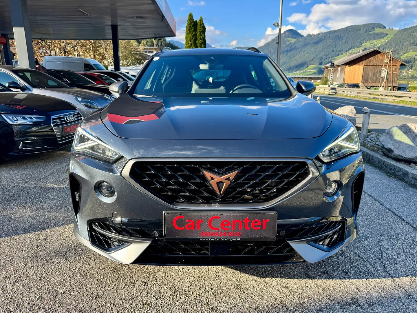 CUPRA Formentor VZ 2.0 TSI 4Drive DSG Gris - 2