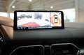 Mazda CX-5 e-SKYACTIV-G Newground *LED*Kamera*Navi*AHK Weiß - thumbnail 15