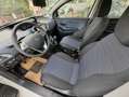 Lancia Ypsilon 1.0 FireFly 70CV Hybrid Platino #VARI COLORI White - thumbnail 5