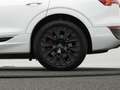 Audi Q8 Sportback 50 e-tron qu. S line*AHK*MATRIX*ACC Weiß - thumbnail 30