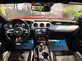 Ford Mustang Fastback 2.3 ecoboost 317cv Italiana Rosso - thumbnail 12