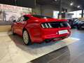 Ford Mustang Fastback 2.3 ecoboost 317cv Italiana Rosso - thumbnail 7