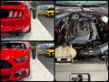 Ford Mustang Fastback 2.3 ecoboost 317cv Italiana Rosso - thumbnail 15
