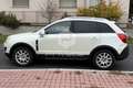 Opel Antara Antara 2.2 CDTI 163CV Start&Stop Cosmo Weiß - thumbnail 8