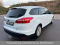 Ford Focus Turnier Business Blanco - thumbnail 5